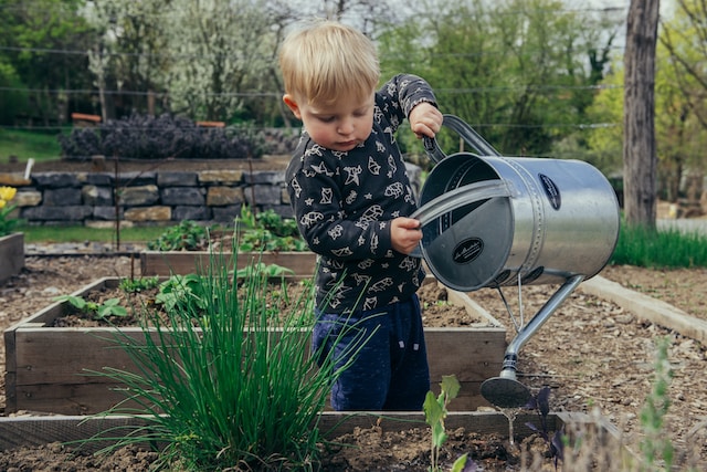 A little boy lifting a watering can.