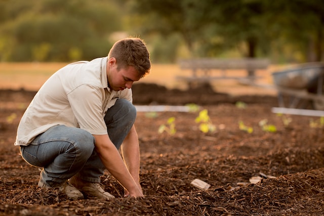A guy planting seeds in the field.