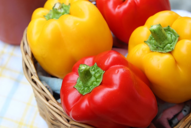 Yellow and red bell peppers in a basket