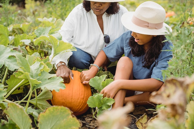Mother and daughter checking if a pumpkin id ready for picking